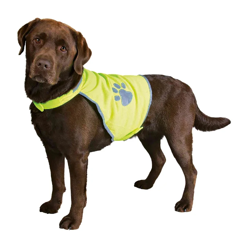    - Royal Canin cat food recommendations  - Hypoallergenic dog foodSafety Vest