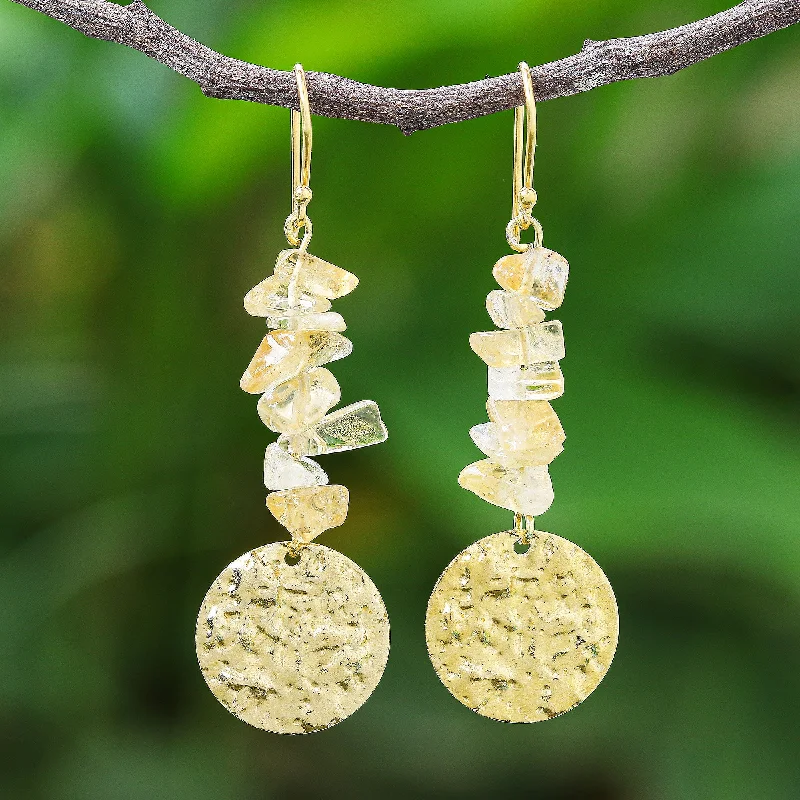 - Pet monitor with cameraGolden Coin in Yellow Citrine and Brass Coin Dangle Earrings