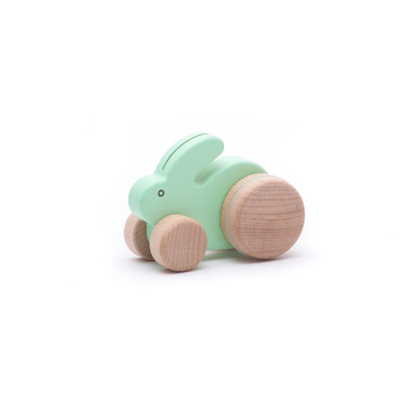 Pet ProductsBajo push bunny rabbit mint