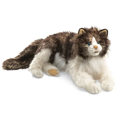 - Dog disposable foam shower gelFolkmanis ragdoll cat puppet