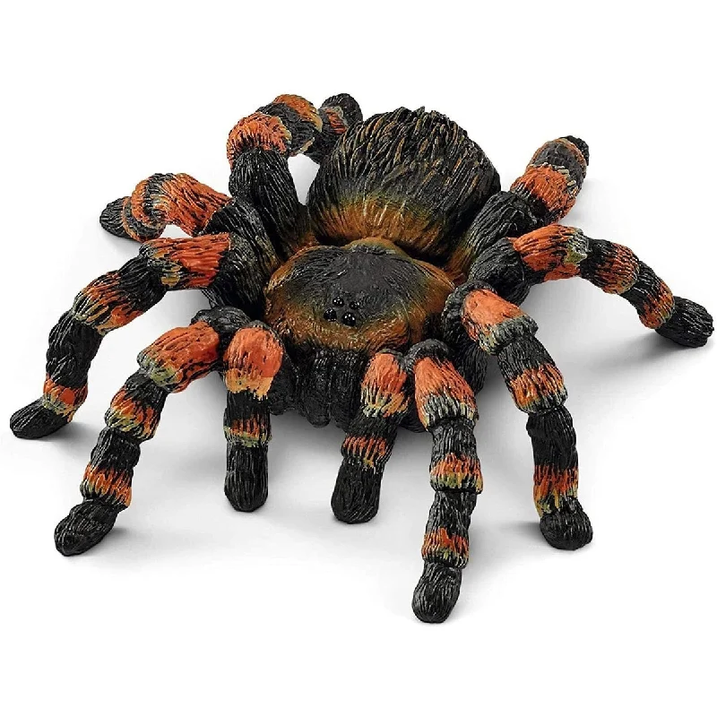 - Parrot climbing and standing wooden frameSchleich tarantula