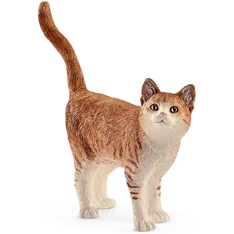 - Pet diabetes prescription foodSchleich orange cat