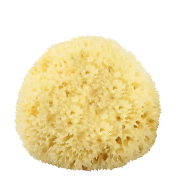 - Organic cotton dog bibsThe Sponge Company Natural Sea Sponge #3  #10076886