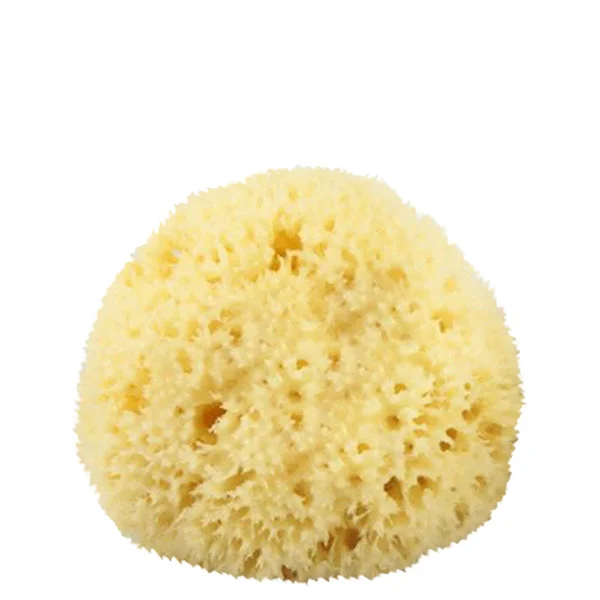 - Summer pet ice matThe Sponge Company Natural Sea Sponge #2  #10076885