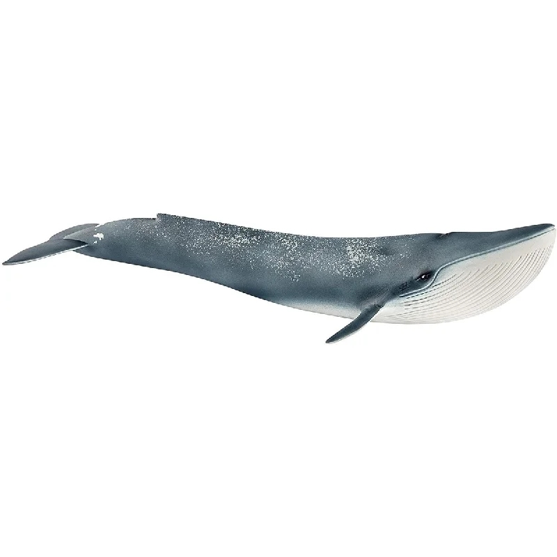 - Air box TSA certified check-inSchleich blue whale