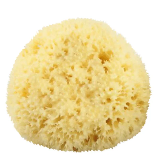 - Natural latex pet mattressThe Sponge Company Natural Sea Sponge #4  #10076887