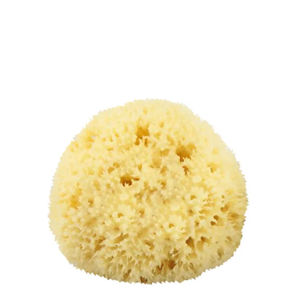 - Custom pet birthday cakeThe Sponge Company Natural Sea Sponge #1  #10076884