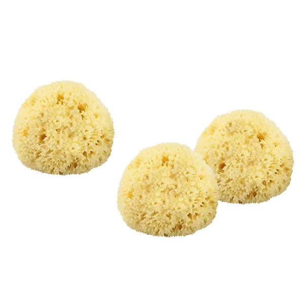 ---The Sponge Company Sea-Silk Cosmetic Sponge  #10076883