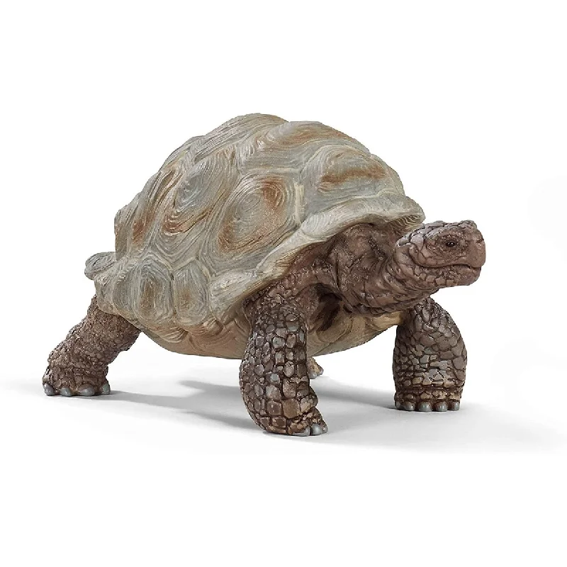 - Parrot climbing and standing wooden frameSchleich giant tortoise