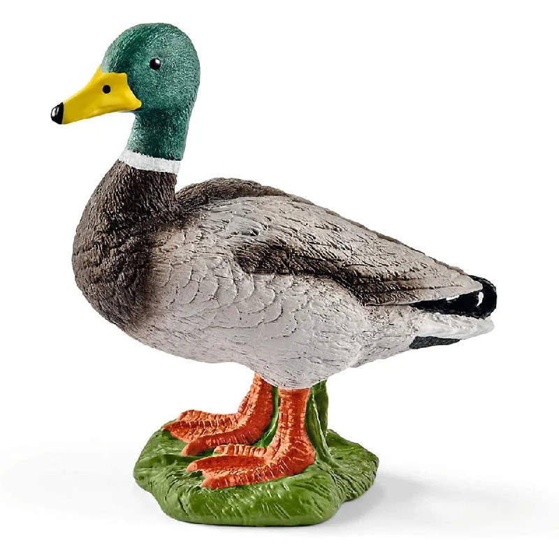 - Remote interactive pet feederSchleich drake duck