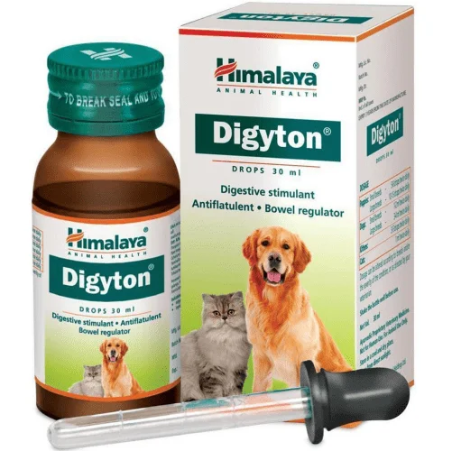 1. **Pet collar with custom engraving**Himalaya Digestive Stimulant Digyton Drops for Dogs and Cats